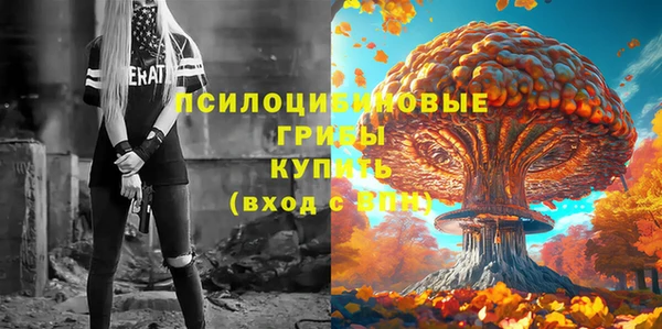 амф Зеленокумск