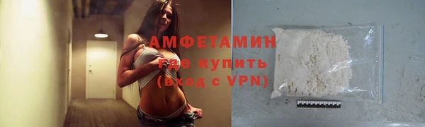прущие грибы Иннополис