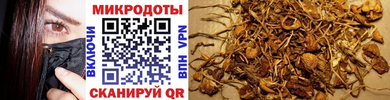 Псилоцибиновые грибы GOLDEN TEACHER Новотитаровская