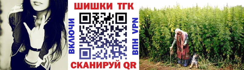 где купить   OMG как войти  Каннабис MAZAR  Новотитаровская 
